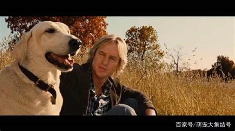 雪橇犬的电影，有哪些好看关于雪橇犬的电影啊谢谢
