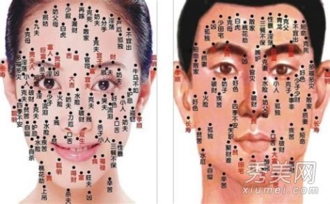 女人私处图图片