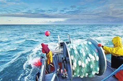中国远洋渔业发展现状与趋势 - 海洋财富网