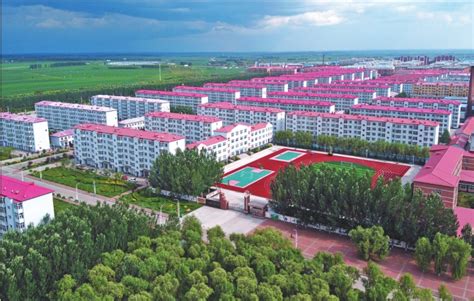 黑龙江省绥棱县大力发展绿色有机农业 - 黑龙江 - 中国产业经济信息网