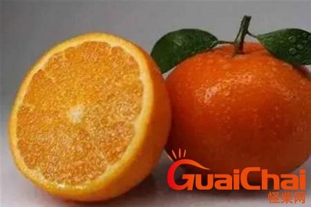 柑橘种植技术_柑橘种植栽培管理_柑橘种植方法和注意事项-柑桔人管家