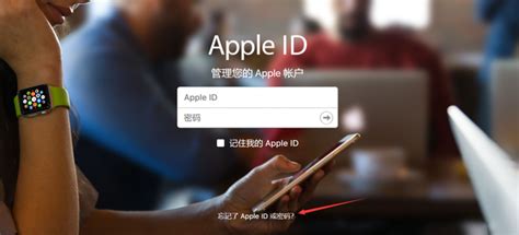 苹果手机的ID密码忘记怎么办？简单一步，直接给手机设置个新密码
