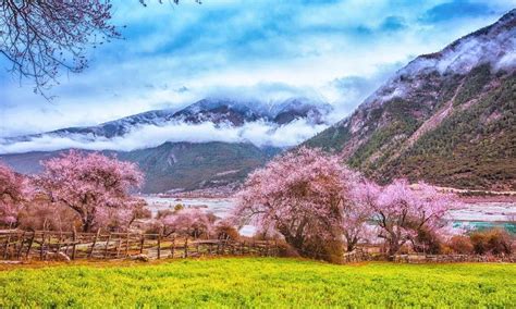 林芝迎来 工布新年