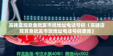 七纹巨鲤鱼 - 观赏鱼市场（混养鱼） - 广州观赏鱼批发市场