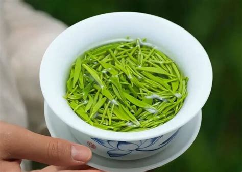 中国绿茶十大名茶排名_绿茶百科_绿茶说