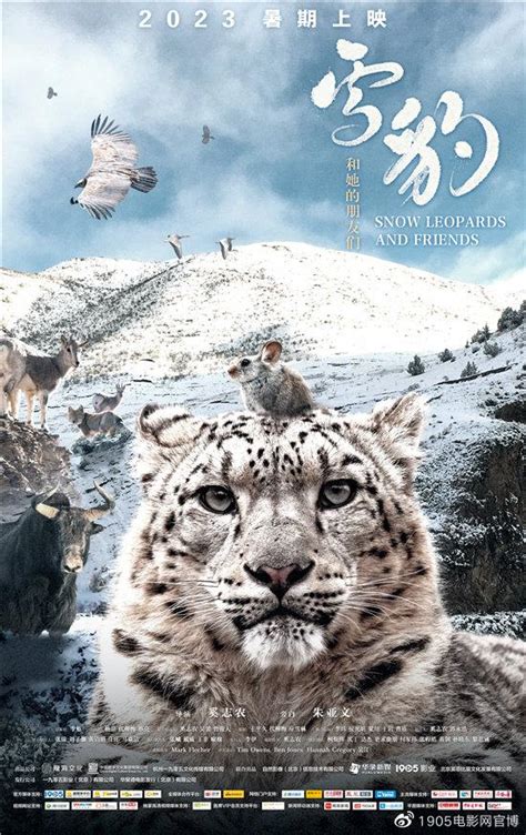 《雪豹2》正式开拍，文章继续担任主演，胡军、张铭恩也确认参演 - 知乎