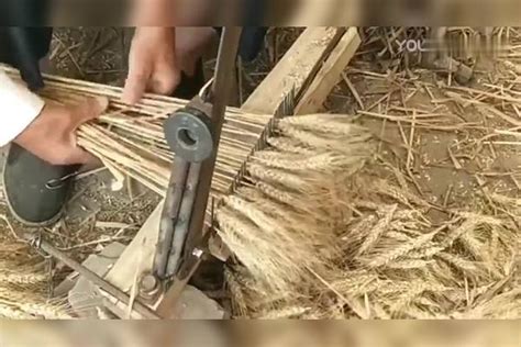 山西农民割麦用“神器”，传承百年至今依然沿用，很多人没见过|老农|麦子|器具_新浪新闻