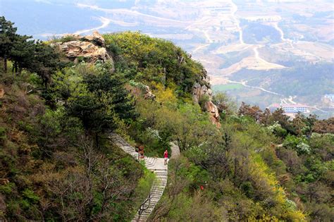 四川著名地标: 乐山大佛, 中国最大的一尊摩崖石刻造像!