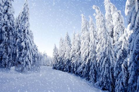 喀纳斯冬季雪路高清图片下载-正版图片500420986-摄图网