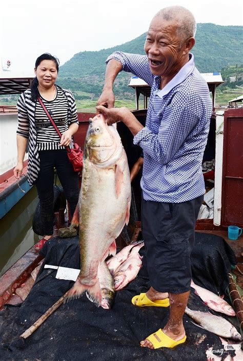 三峡渔场开渔 50余户渔民下网捕鱼 - 户外旅游 梅州时空