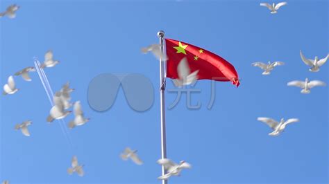 9.30中国烈士纪念日和平鸽背景图片免费下载-千库网