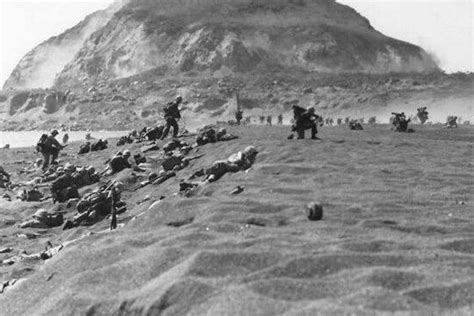 美国和日本二战最惨烈的一次战役|硫磺岛|美军|战役_新浪新闻