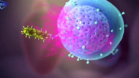 3D动画演示：骨髓瘤及其遗传因素_腾讯视频
