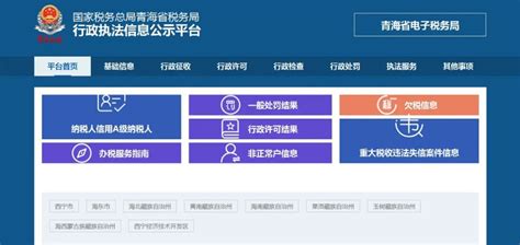 青海省电子税务局登录入口及申报更正操作流程说明_95商服网