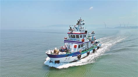 谱写新能源船新篇章丨“三峡氢舟1”氢燃料电池动力船建造工作交流会在江龙船艇举行