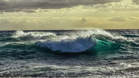 海浪在翻腾的风景正版超高清4k商用授权视频素材下载(编号:Fk4qLO5Z59NOEf)-新片场素材