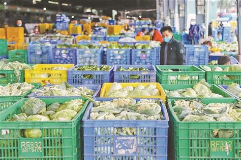 深圳海吉星蔬菜日均来货量超5000吨 深港两地“菜篮子”供应充足稳定--深圳在行动