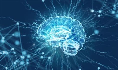 新型大脑启发式学习方法来了，可帮助人工神经网络节省内存和能量 - 知乎