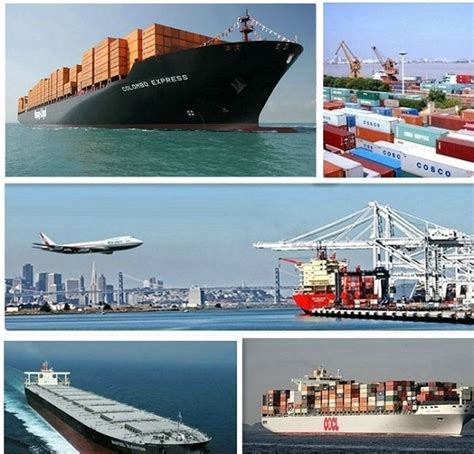 2021年国际货运代理，国际货代公司数据统计