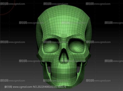 专业生产 人体头骨模型 彩色头骨解剖模型 骷髅模型 医学头骨模型-阿里巴巴