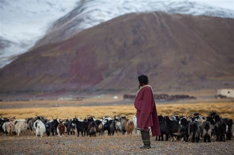 西藏美女摄影：我拿着转经筒，走在拉萨街头，只为寻找心中的你
