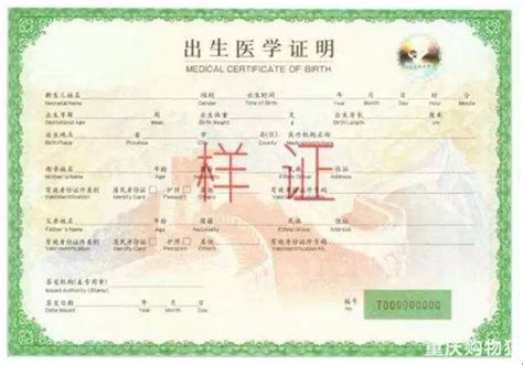 重庆新生儿出生证明、社保、身份证、护照、港澳通行证办理 ...