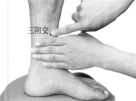 三阴交图片