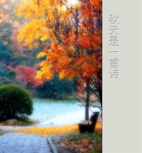 【秋天是一首诗摄影图片】上海生态摄影_轻机枪_太平洋电脑网摄影部落