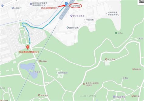 南京红山森林动物园地铁几号线到?- 南京本地宝