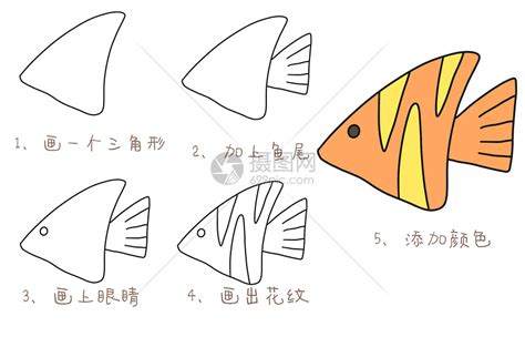 热带鱼简笔画教程插画图片下载-正版图片401697545-摄图网