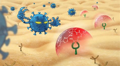小分子药物头孢他啶能够在体外抑制新型冠状病毒感染 - 生物通