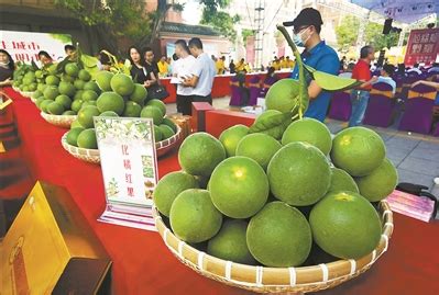 化州化橘红-化橘红官方网站 - 化橘红官方网站