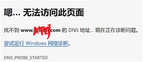 Win11系统的DNS如何设置？Win11系统的DNS设置方法 - 系统之家