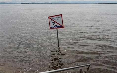 俄阿穆尔河畔共青城附近河道水位上升至827厘米 - 2019年9月10日, 俄罗斯卫星通讯社