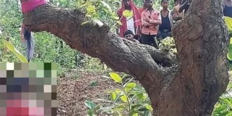 16岁女学生离开家后失踪 3天后被发现吊死树上_手机新浪网