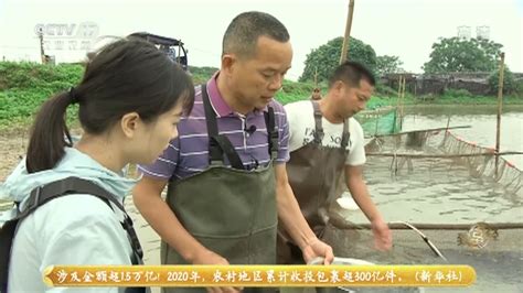 博克图镇：百年老镇致富经 传统产业显优势_腾讯视频