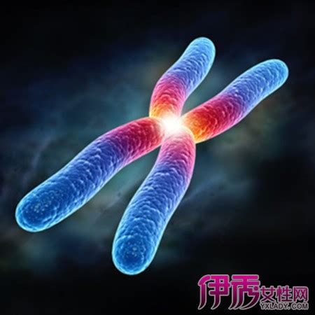 染色体异常是什么原因导致的？ - 知乎