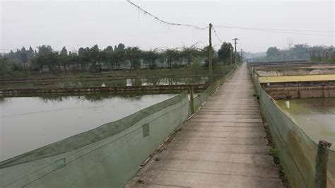 重庆市铜梁区51亩一级示范基地水产繁育养殖基地低价转让- 聚土网