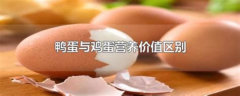 鸭蛋与鸡蛋营养价值区别-最新鸭蛋与鸡蛋营养价值区别整理解答-全查网