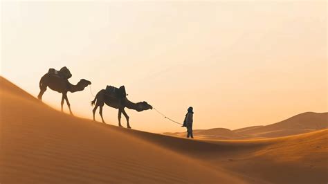 骆驼CAMEL logo设计含义及服装品牌标志设计理念-三文品牌