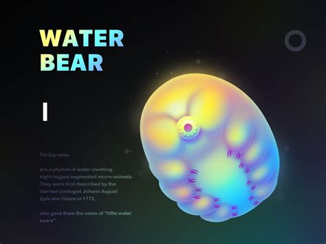 “地表最强生物”水熊虫，到底有多强？