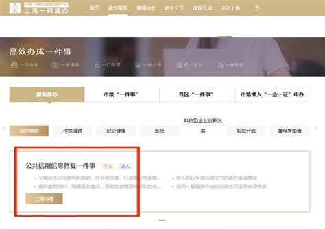 提供精准、智能的政务服务，上海长宁为企业打造专属服务平台_澎湃上海_澎湃新闻-The Paper