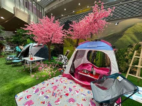 “露营+”创意模式“火热” 洛阳露营旅游探索未来之路 - 河南省文化和旅游厅
