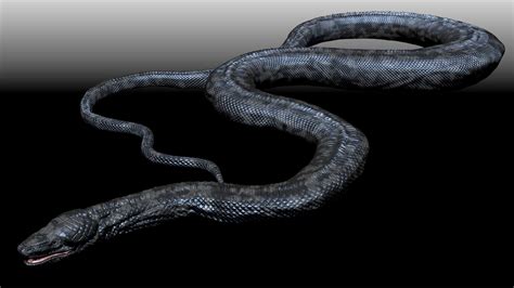 四川发现50米巨蟒，世界上最大的蟒蛇(蟒蛇成精吓死人)_探秘志