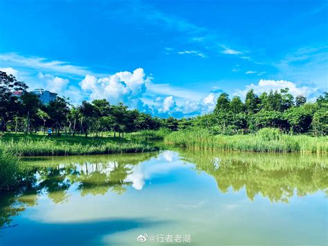 【自然力】COP15深圳市生物多样性保护优秀案例——福田红树林生态公园__凤凰网