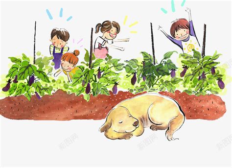 水彩插画农地种菜png图片免费下载-素材7xiPVaaWk-新图网