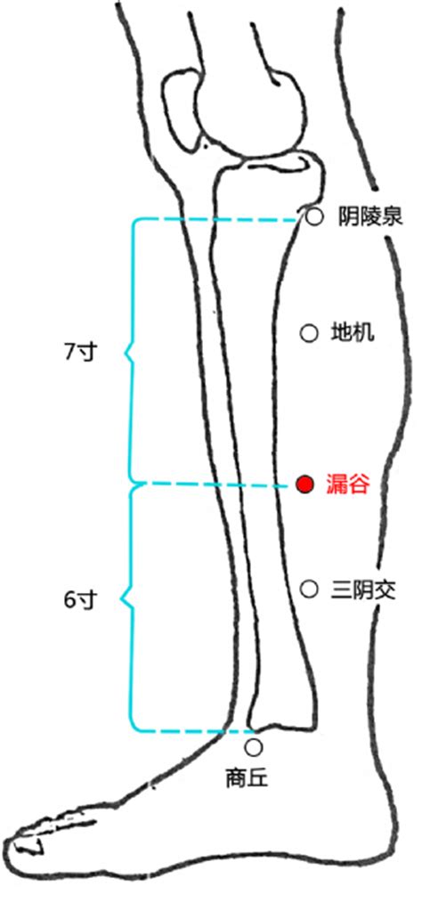 漏谷的准确位置图图片 漏谷的准确位置图图片