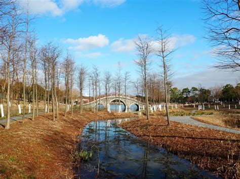 解码海派“新乡村”：人居环境“留住”浦东曹路“新乡愁”__财经头条