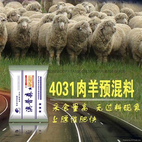 羊棚里吃饲料的羊群高清图片下载-正版图片507705470-摄图网