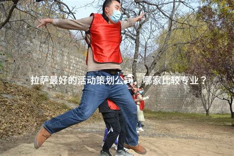 拉萨旅游城市文化宣传海报图片下载_红动中国
